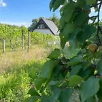 Wine & Relax Mezi Sklepy * Valtrovice