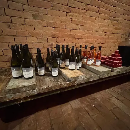 Wine & Relax Mezi Sklepy בית נופש Valtrovice