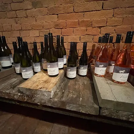 בית נופש Wine & Relax Mezi Sklepy Valtrovice