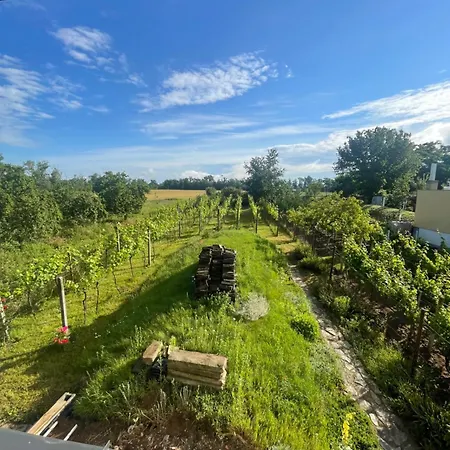 Wine & Relax Mezi Sklepy