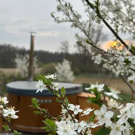 Wine & Relax Mezi Sklepy