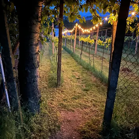 Wine&relax Mezi Sklepy Prázdninový dům Valtrovice