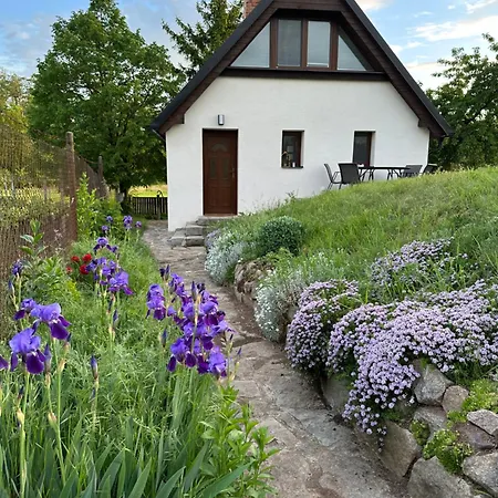 Wine & Relax Mezi Sklepy *