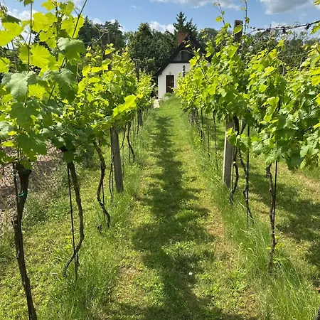 Wine&relax Mezi Sklepy Ferienhaus *