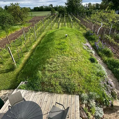 Wine&relax Mezi Sklepy Ferienhaus