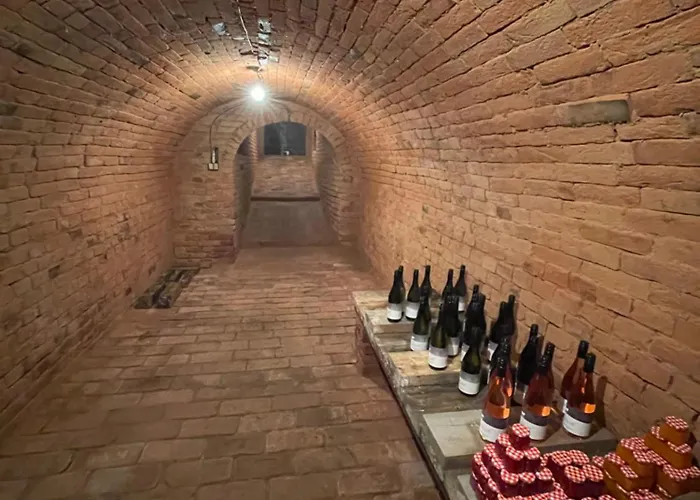 Wine & Relax Mezi Sklepy * Valtrovice