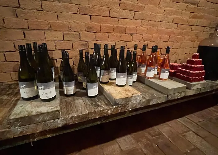 Wine & Relax Mezi Sklepy Casa vacanze Valtrovice