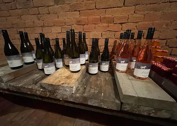 Casa vacanze Wine & Relax Mezi Sklepy Valtrovice