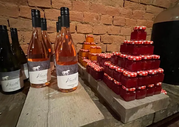 Wine & Relax Mezi Sklepy *