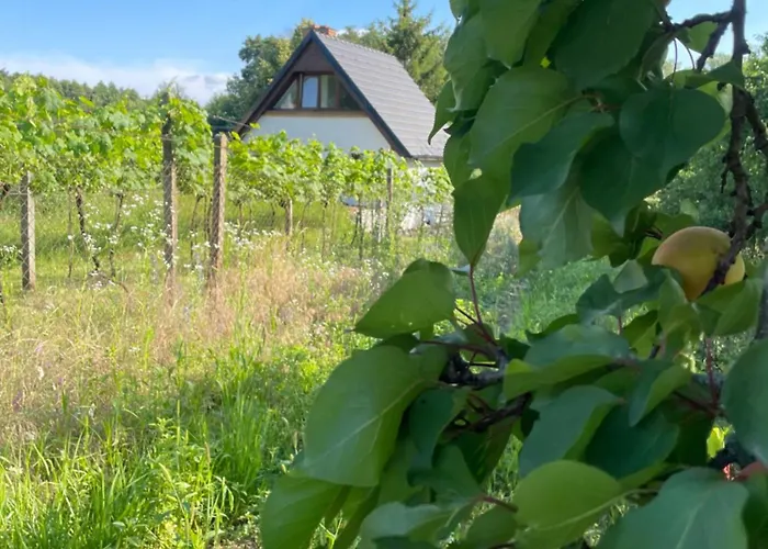 Wine & Relax Mezi Sklepy * Valtrovice