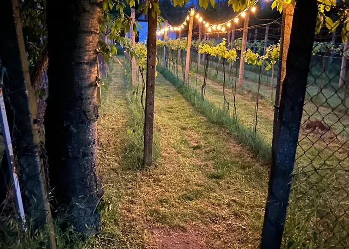 Wine & Relax Mezi Sklepy Semesterbostad Valtrovice